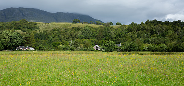 view from Camus Bay toward the Crofthouse with extension